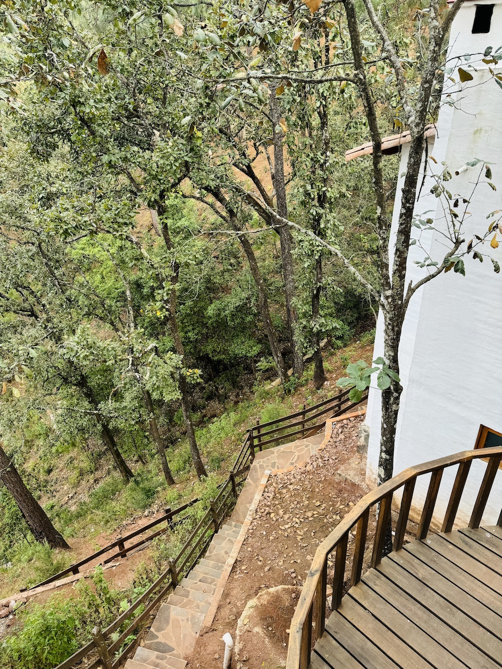 El Mirador - Jardín